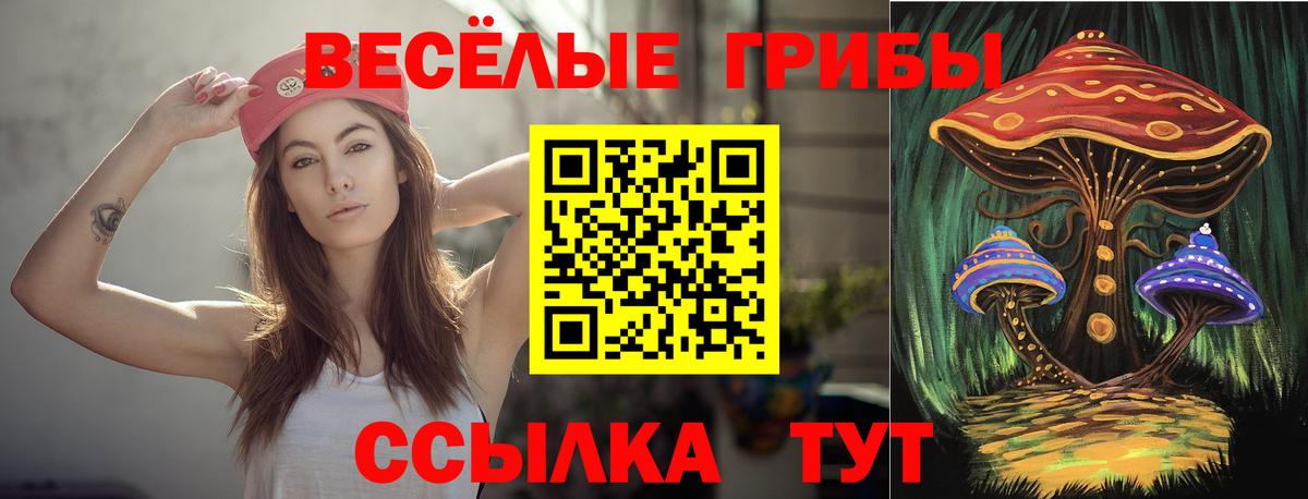 Псилоцибиновые грибы ЛСД  Вход с VPN  Карабулак  Галлюциногенные грибы GOLDEN TEACHER 